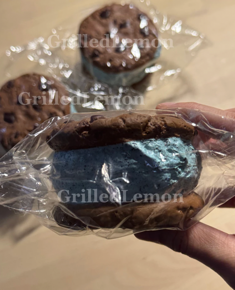 Mint Chocolate Filled Sandwich Cookie Squishy