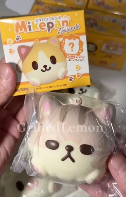(Opened) I-Bloom Mike Pan Friends Cat Mascot Keychain Blindbox Squishy