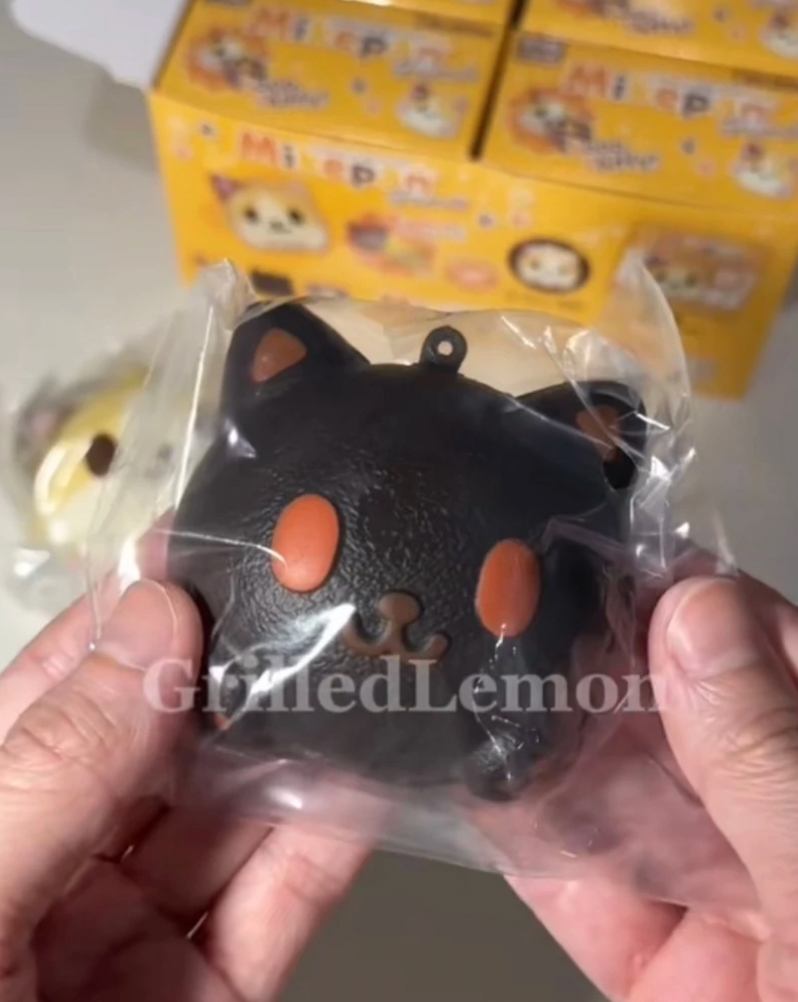 (Opened) I-Bloom Mike Pan Friends Cat Mascot Keychain Blindbox Squishy