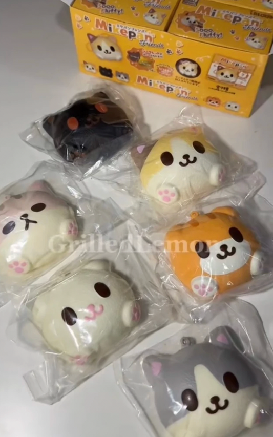 (Opened) I-Bloom Mike Pan Friends Cat Mascot Keychain Blindbox Squishy