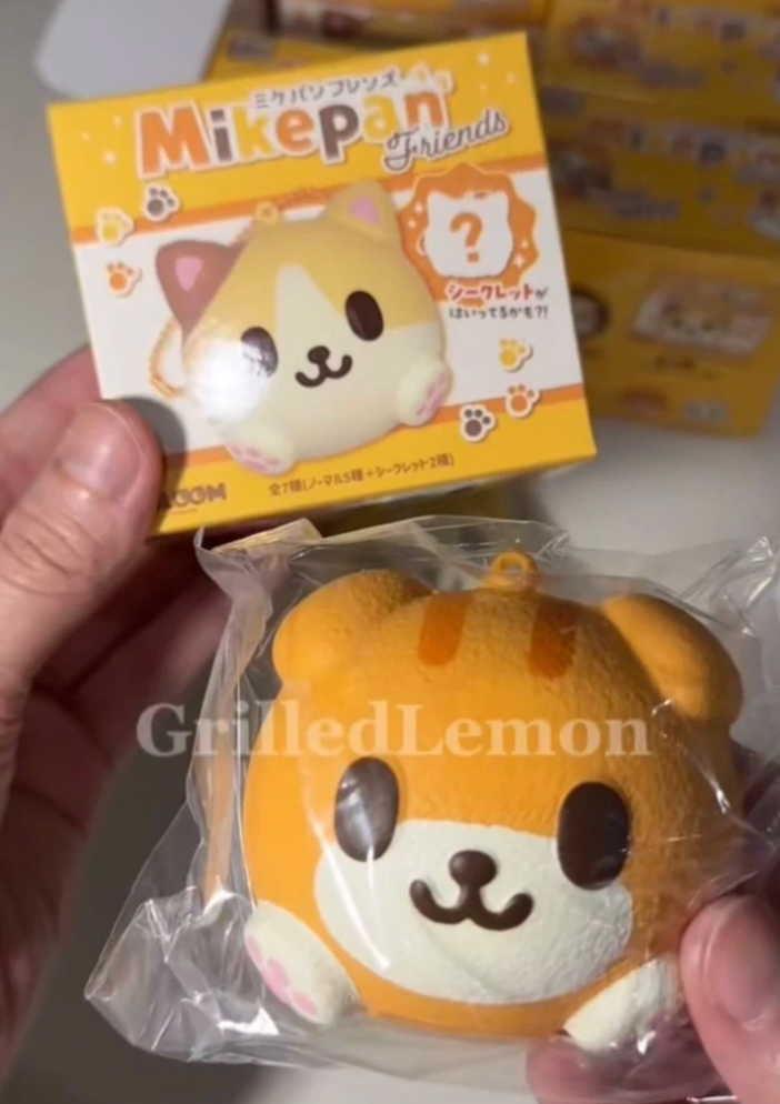(Opened) I-Bloom Mike Pan Friends Cat Mascot Keychain Blindbox Squishy