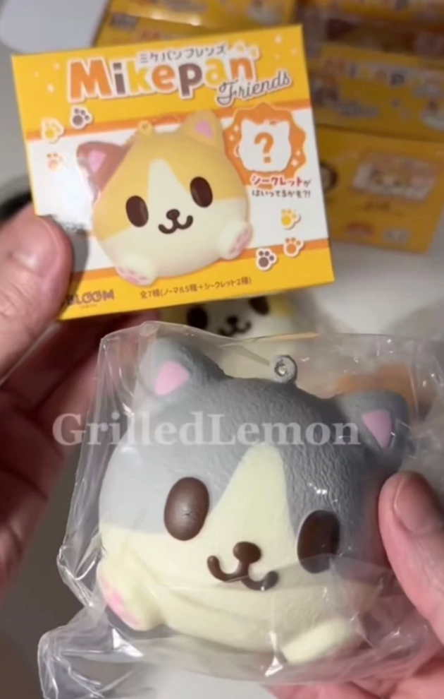 (Opened) I-Bloom Mike Pan Friends Cat Mascot Keychain Blindbox Squishy